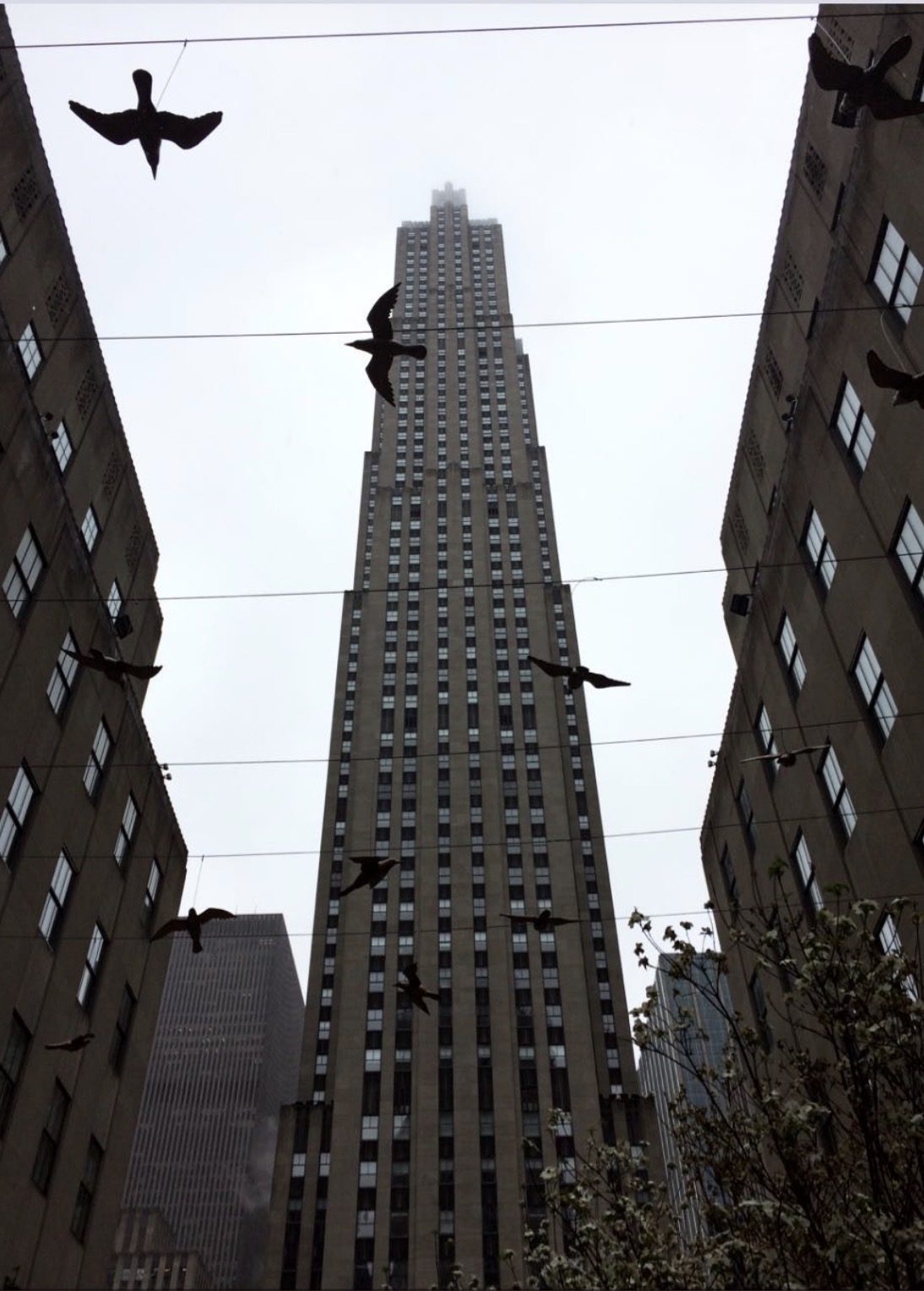 Rockefeller Center, Nowy Jork